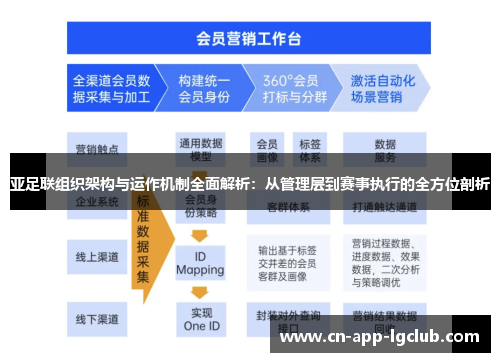 亚足联组织架构与运作机制全面解析：从管理层到赛事执行的全方位剖析