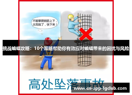 挑战蝙蝠攻略：10个策略帮助你有效应对蝙蝠带来的困扰与风险