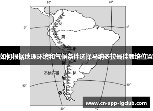 如何根据地理环境和气候条件选择马纳多拉最佳栽培位置