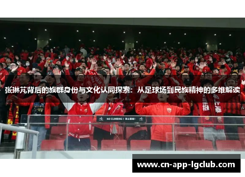 张琳芃背后的族群身份与文化认同探索：从足球场到民族精神的多维解读