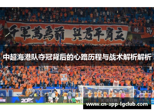 中超海港队夺冠背后的心路历程与战术解析解析