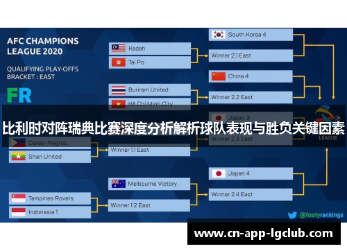 比利时对阵瑞典比赛深度分析解析球队表现与胜负关键因素