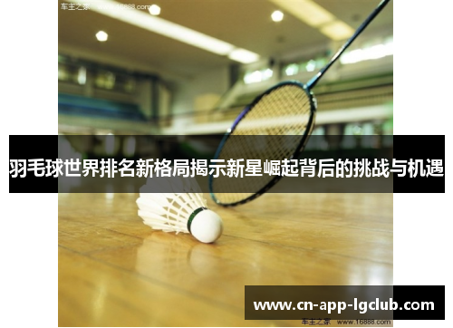 羽毛球世界排名新格局揭示新星崛起背后的挑战与机遇