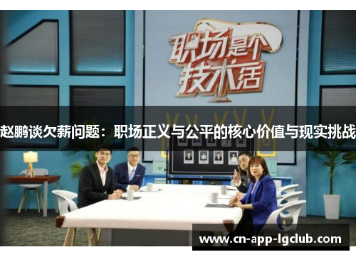 赵鹏谈欠薪问题：职场正义与公平的核心价值与现实挑战