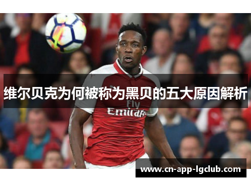 维尔贝克为何被称为黑贝的五大原因解析