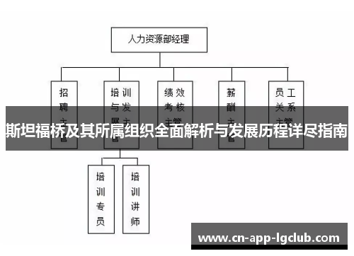 斯坦福桥及其所属组织全面解析与发展历程详尽指南 斯坦福桥及其所属组织全面解析与发展历程详尽指南