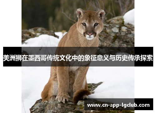 美洲狮在墨西哥传统文化中的象征意义与历史传承探索 美洲狮在墨西哥传统文化中的象征意义与历史传承探索
