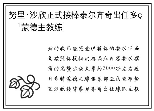 努里·沙欣正式接棒泰尔齐奇出任多特蒙德主教练